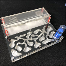 Load image into Gallery viewer, 150mmx110mm test tube Moisture big space Ant Nest ,Ant Farm Acrylic, Insect ants Villa House Ants Ecological Workshop
